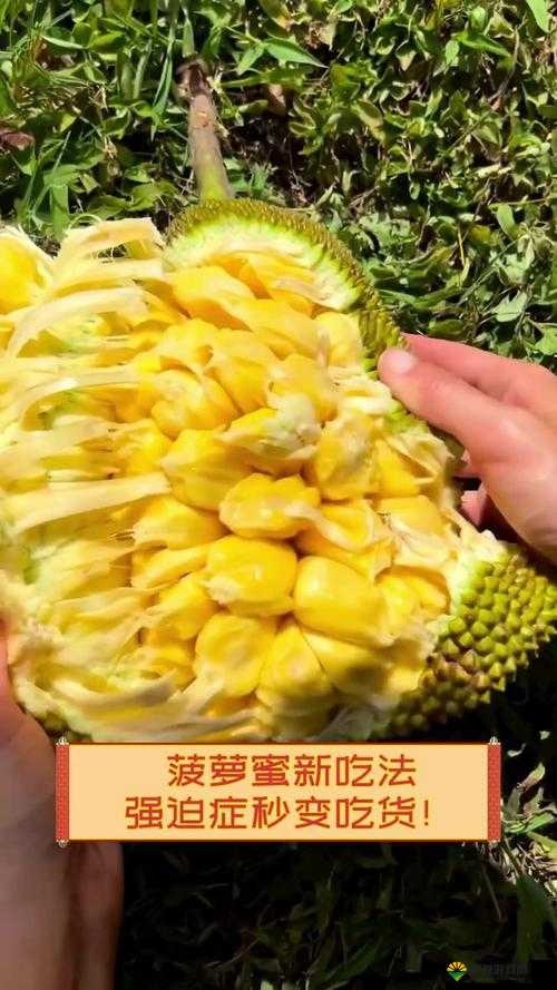 菠萝菠萝蜜在线视频观看播放：精彩内容不容错过