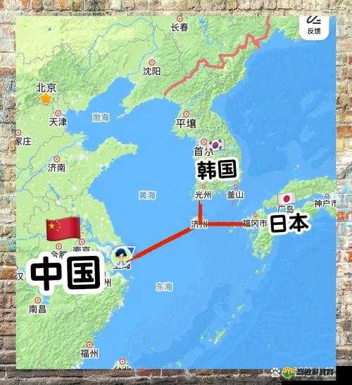 日本、欧洲、美国、中国、韩国的发展与交流探讨