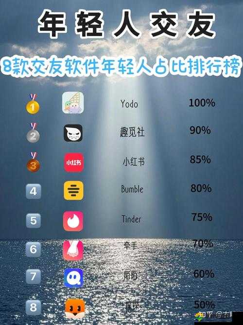 9.1 人网站特色软件相关内容及探讨
