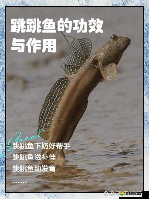 跳跳鱼Jumping Fish安卓版下载地址介绍，资源管理的艺术