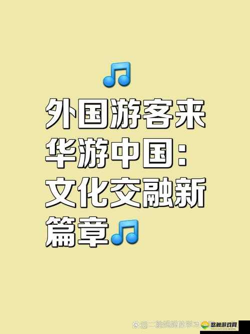 海外看 B 站：探索华语视频世界的精彩之旅