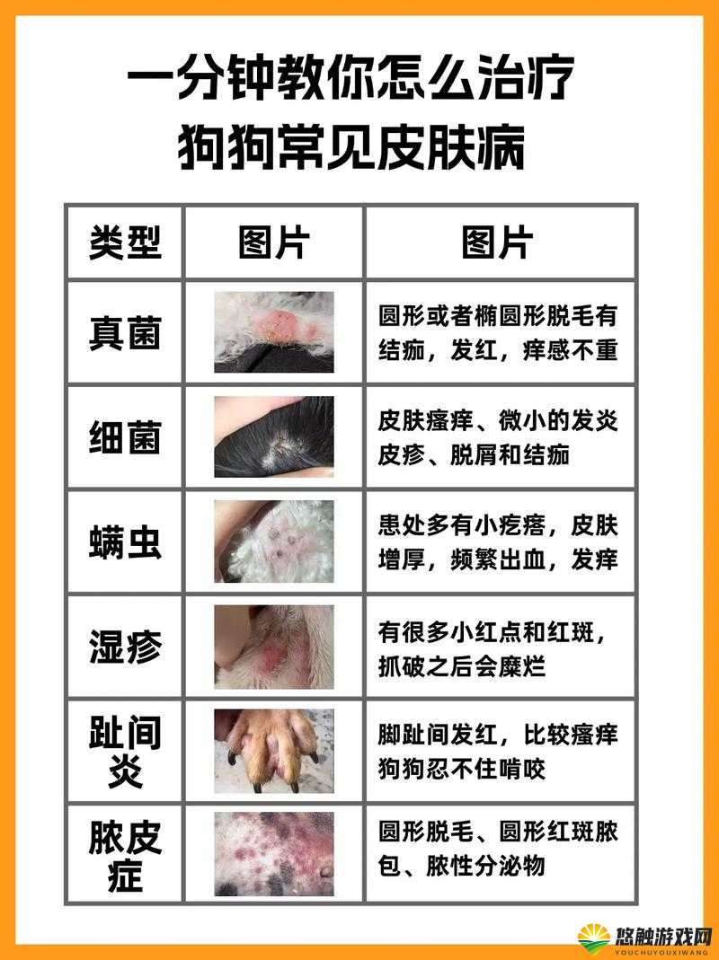 狗狗身上出现又硬又烫又臭的东西该怎么办呢