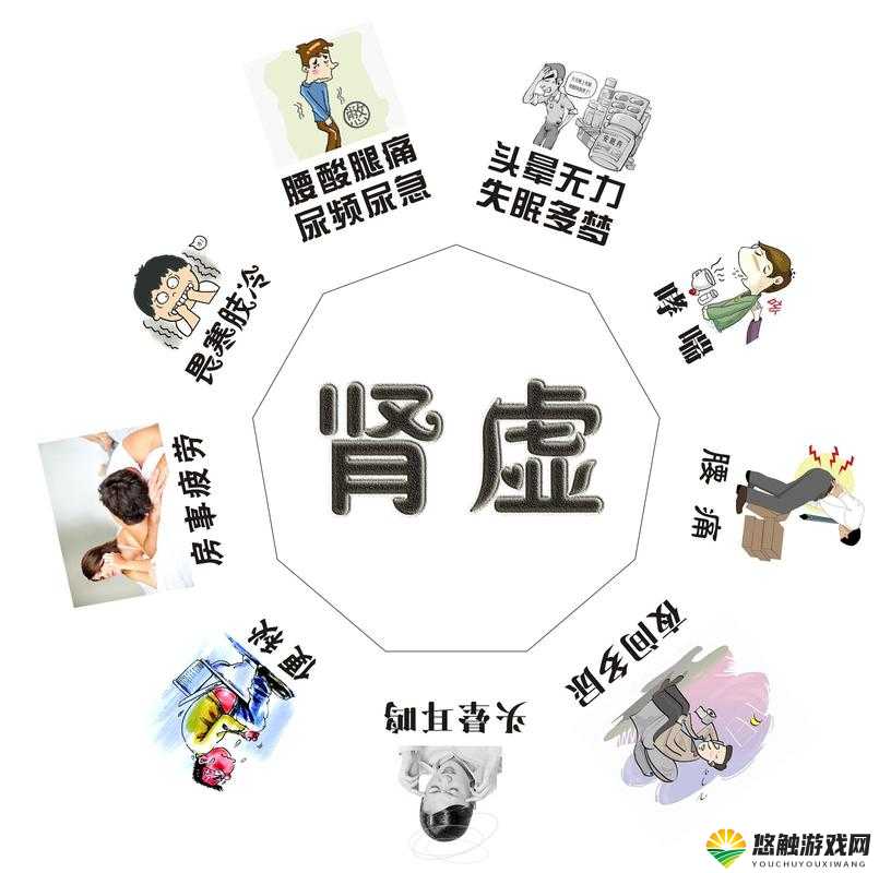 肾虚五连是哪五个软件叫什么:探索其背后的秘密与特点