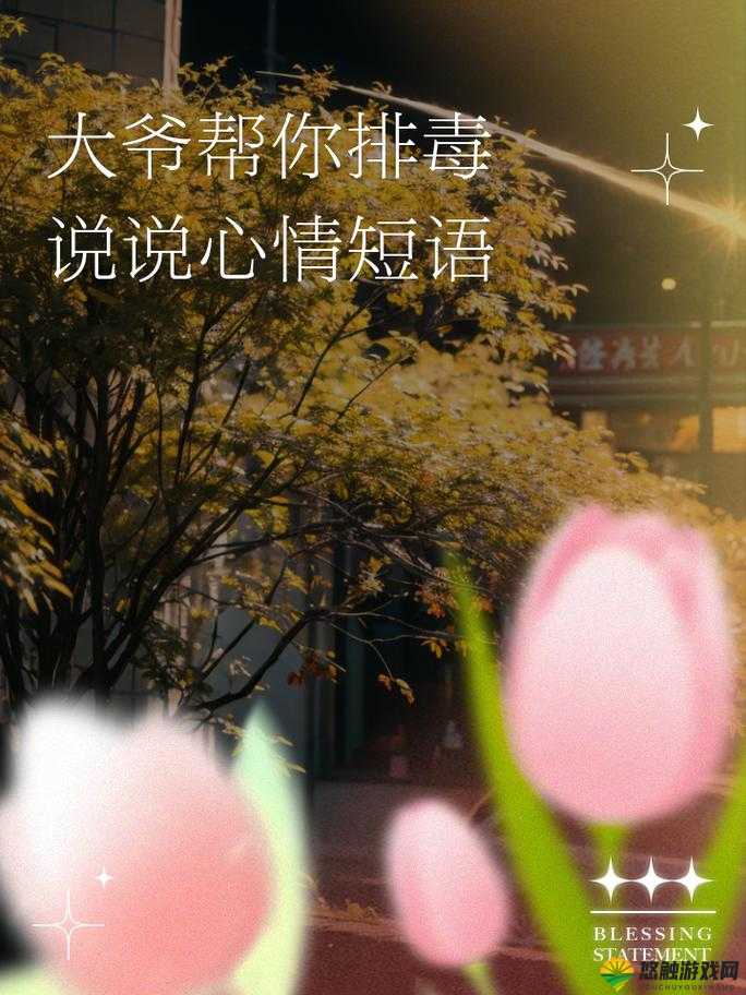 大爷是在帮你排蝳小说：一部让人深思的独特作品