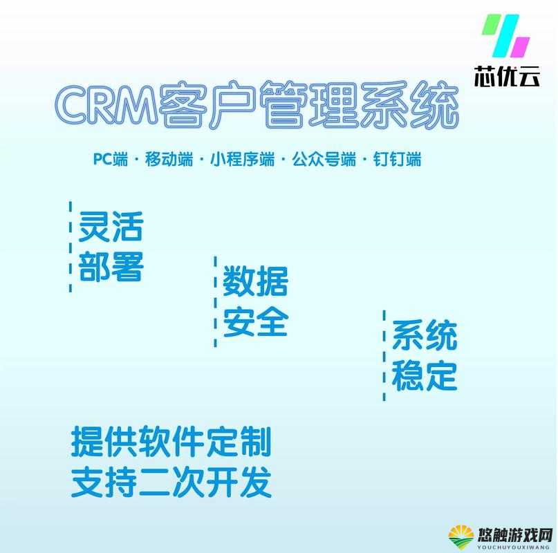 成熟的国产 CRM 系统：助力企业高效管理与精准营销的强大工具