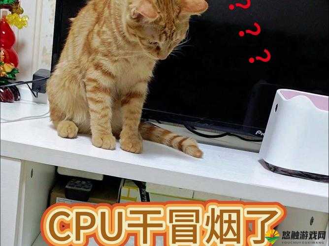 啊～你tm别？了小烧货：请立刻停止这种行为