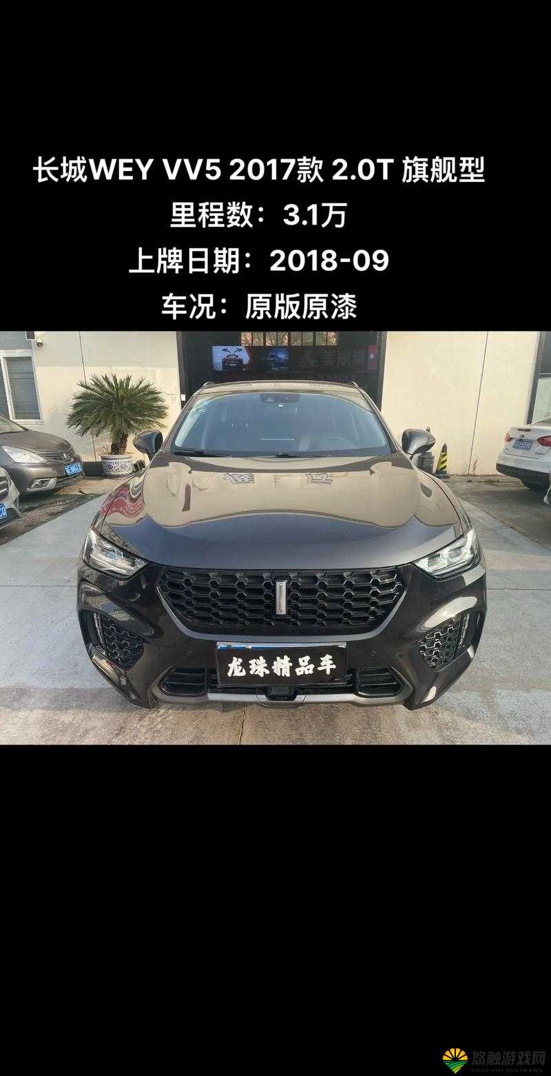 WEYVV5 国产 SUV 虚拟赛车化：速度与激情的极致演绎