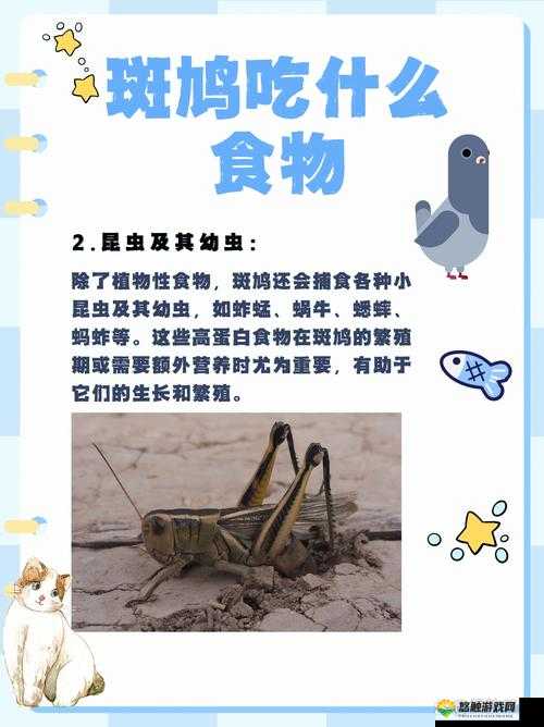 两人一人吃 10 分钟：探究这种独特饮食模式背后的故事