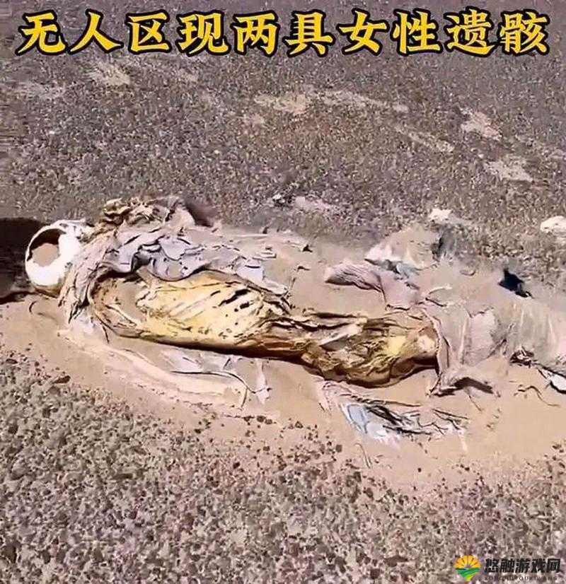 6229Jm 无人区编码背后的秘密：探险者的禁地与未知的诱惑