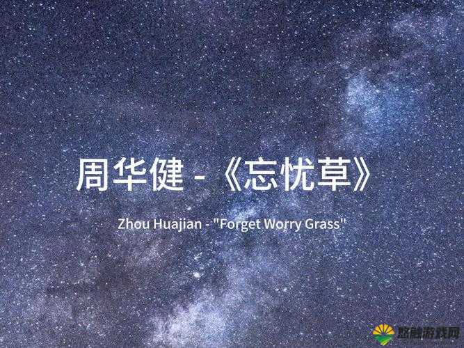 忘忧草蜜芽 188 带来别样精彩与独特体验