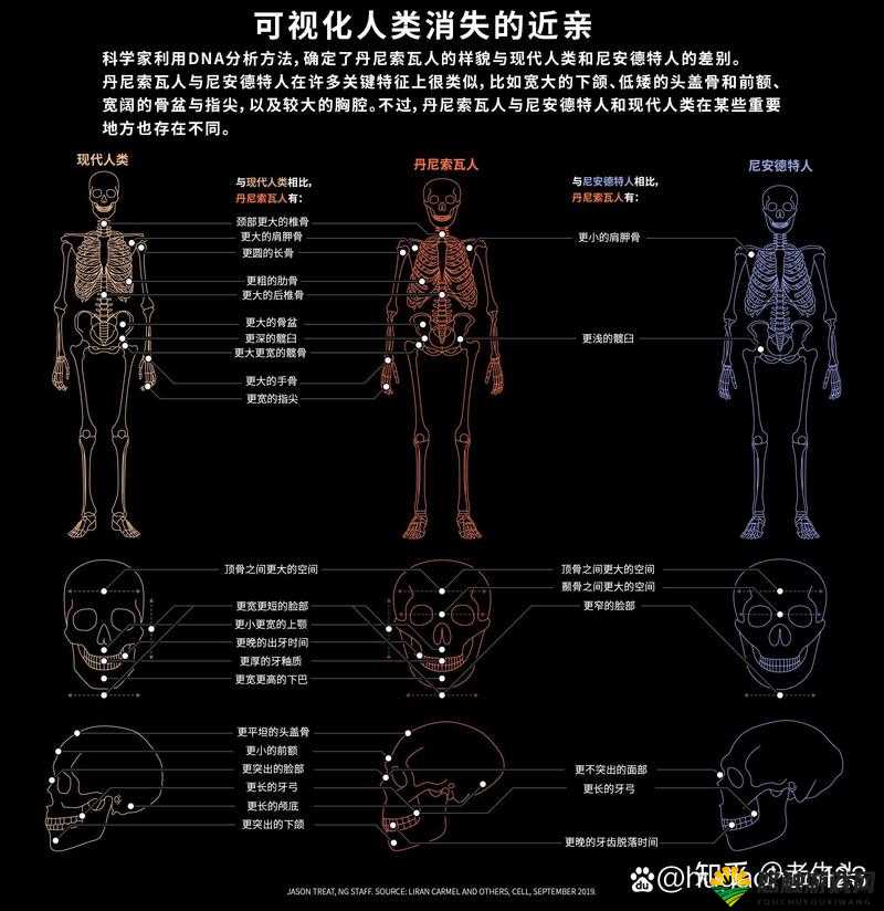 日本人与欧洲人 DNA 对比：差异与共性探究