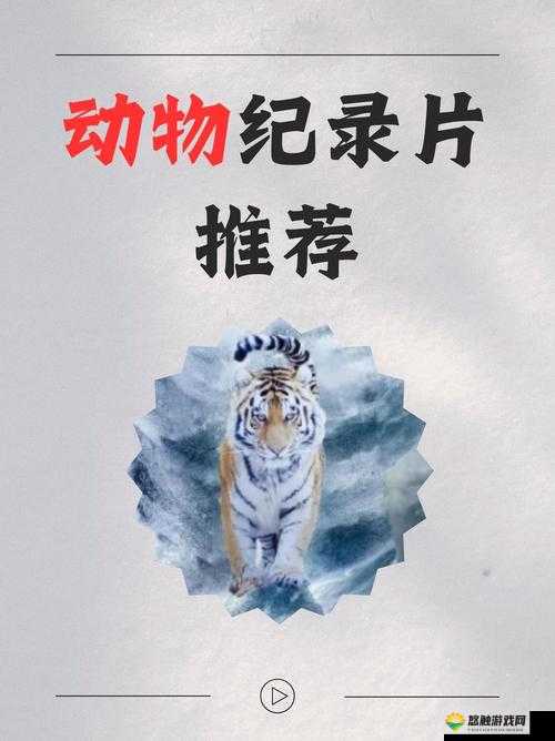 人马畜禽纪录片免费:探索动物世界的奇妙之旅