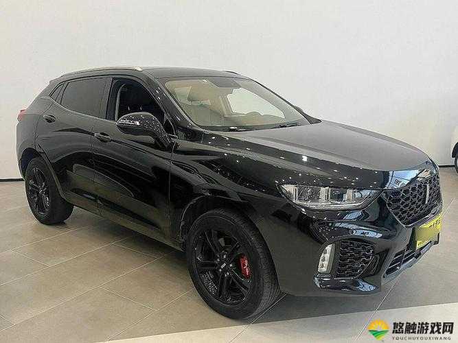 weyvv5 国产的 SUV 免费-畅享高品质出行新体验