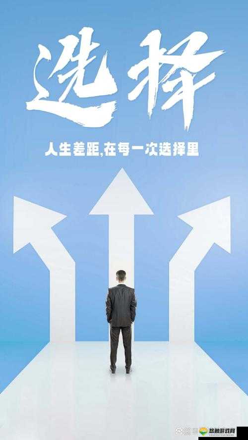 职业选择,探索自我,迈向理想之路