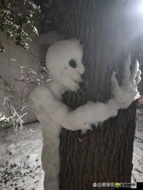 雪人与光芒，揭秘疯狂猜成语中的奇妙组合