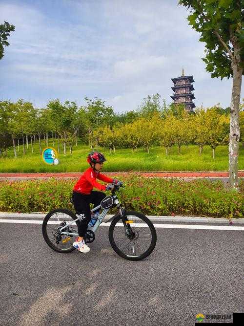 一前一后三位骑行者同享骑行乐趣之旅