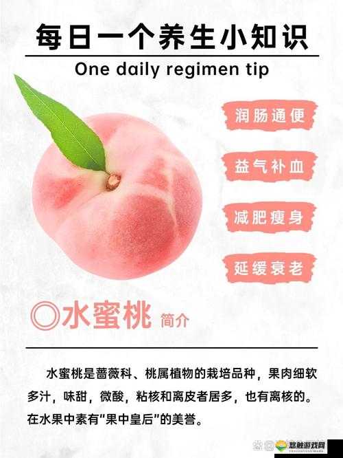 水蜜桃与水蜜桃 V2 的独特魅力与创新发展