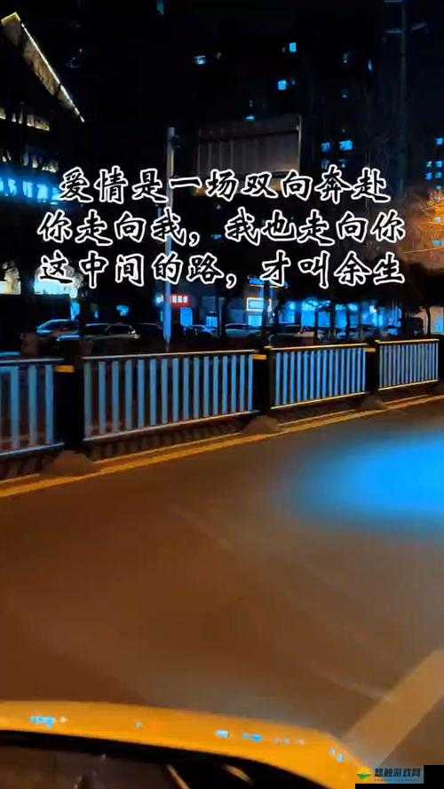 双向奔赴 1V1：一场关于爱与承诺的美好旅程