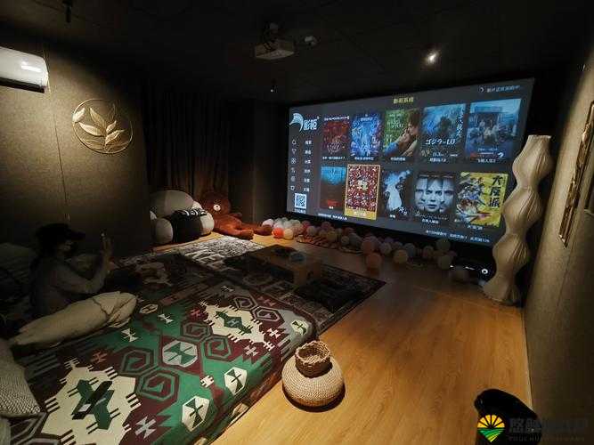 私人家庭影院 3355：打造极致视听盛宴之所