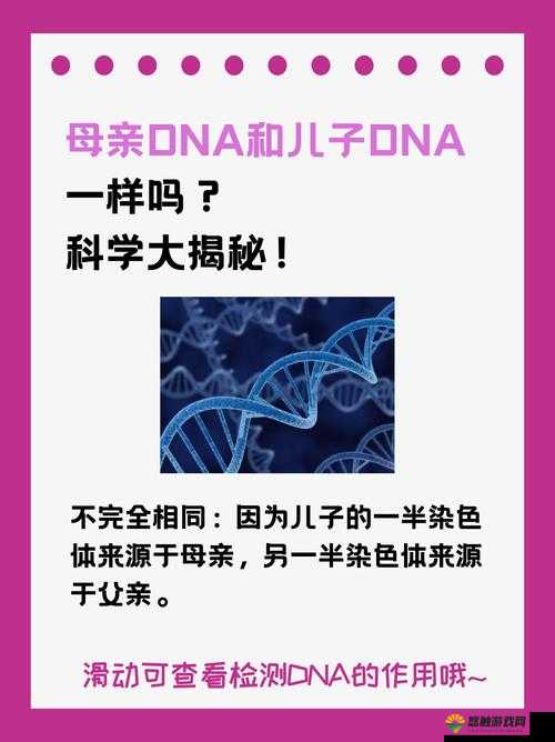 母亲 DNA 与儿子 DNA 一致所蕴含的独特生命奥秘