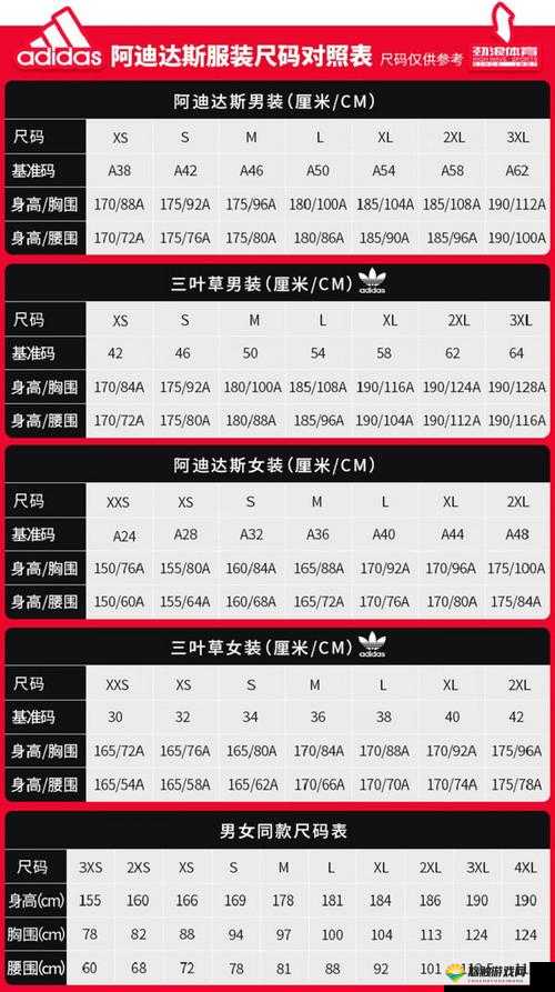 三叶草 M 码与欧洲码的详细区别解析：尺码、版型、设计各有不同