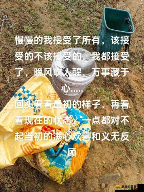 刚开始拒绝，后来慢慢接受：视频火爆全网的秘密