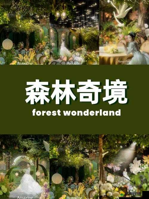 仙踪林 Company ：打造梦幻饮品与独特美食的胜地