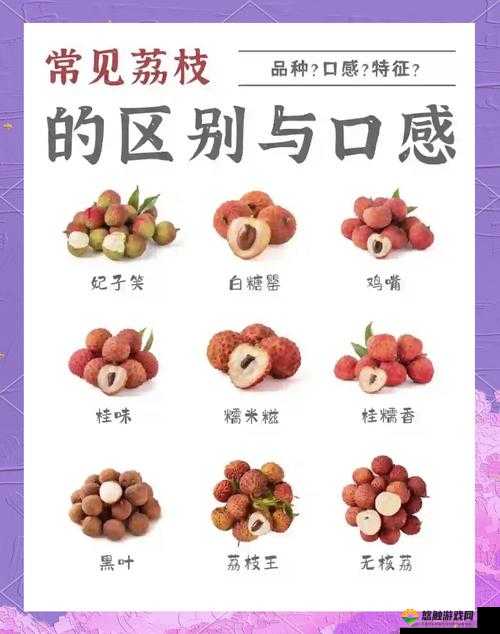 含糖 11h 荔枝：一口爆汁的甜蜜诱惑