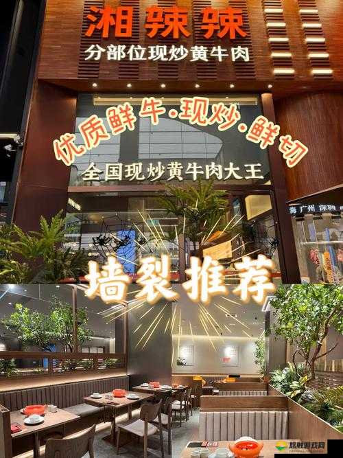 网红小鲜肉分享美食体验:帅小伙大LOGO餐厅探店实录,揭秘火爆网络的独特魅力
