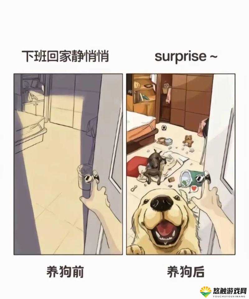 狗Zoom与人类Zoom对比：哪个更适合你的日常使用场景？