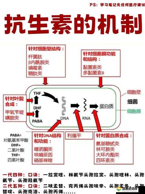 药效1V2H:深度解析药物作用机制及其临床应用效果的双重优势