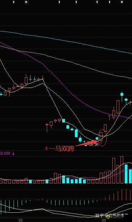 一马双跨by折枚针：如何在现代社会中实现双重跨越与成功？
