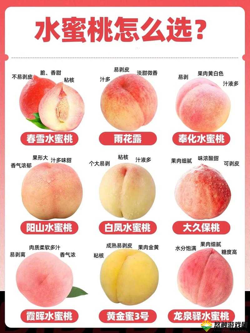 国精产品水蜜桃hd高清品质解析：如何挑选与保存最新鲜的水蜜桃技巧分享