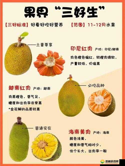 菠萝蜜一线二线三线品牌有哪些？2023年最新菠萝蜜品牌排行榜及选购指南