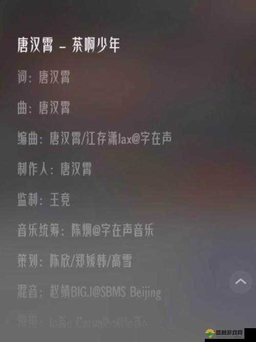 少年啊BGM全集在线阅读免费下载：完整音乐合集，随时随地畅享经典旋律