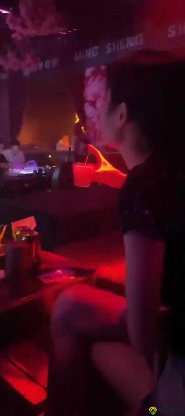 夜夜爽技女88888888:揭秘深夜娱乐新趋势,体验不一样的夜生活乐趣