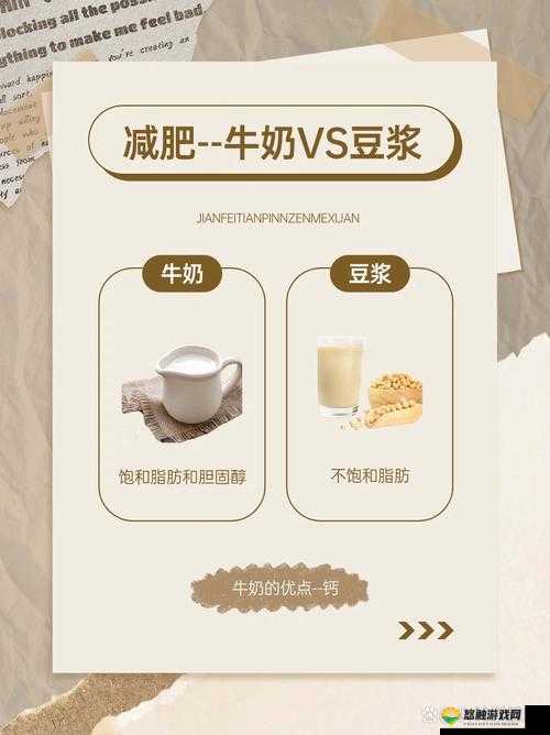 探索豆浆撞奶by羊马驼的独特魅力:健康饮品新选择与制作秘诀全解析