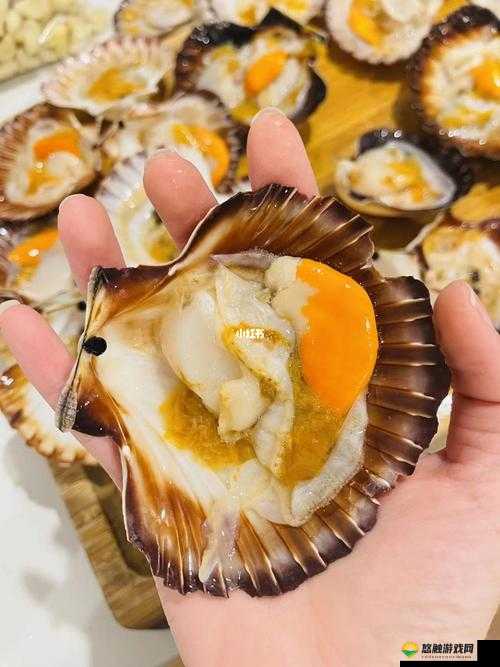打开扇贝就可以吃火腿肠:简单快捷的美味体验,轻松享受海鲜与肉类的完美结合