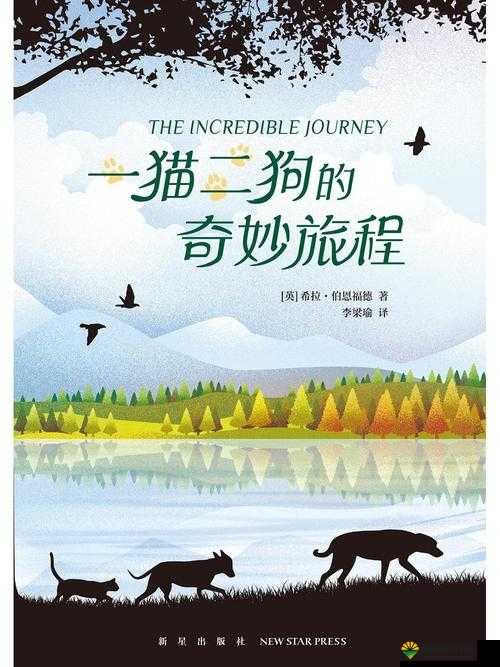 喵了个咪，萌宠冒险之旅的奇妙开篇