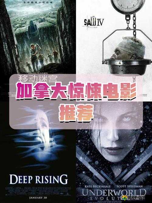 1313午夜片首页最新推荐：精选恐怖片与惊悚电影合集，带你体验心跳加速的午夜时光