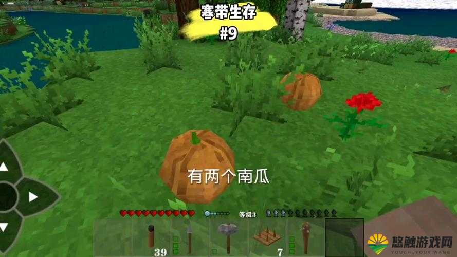 生存战争中的南瓜种植艺术