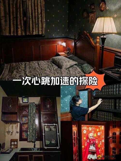 恐怖庄园的秘密，一场智慧与勇气的探险之旅