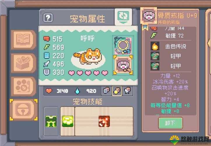 迷你世界宠物装备大全，怎么安宠物装备