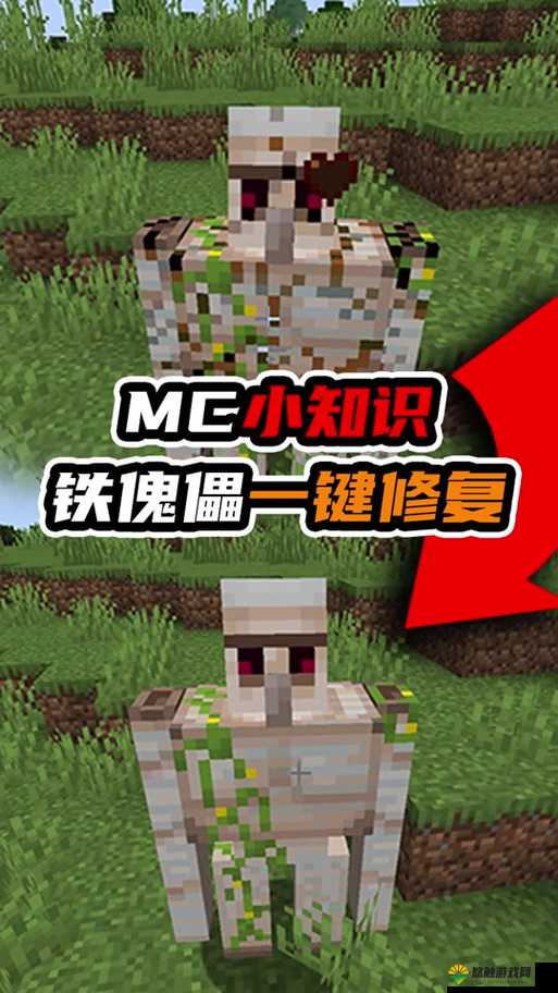 迷你世界宠物受伤害怎么回血，宠物回血方法与资源管理