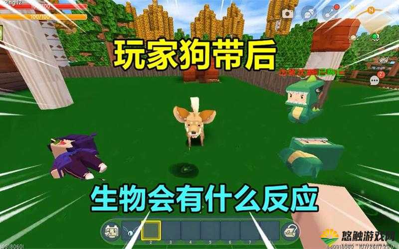 迷你世界宠物会不会死?宠物会被打死吗?