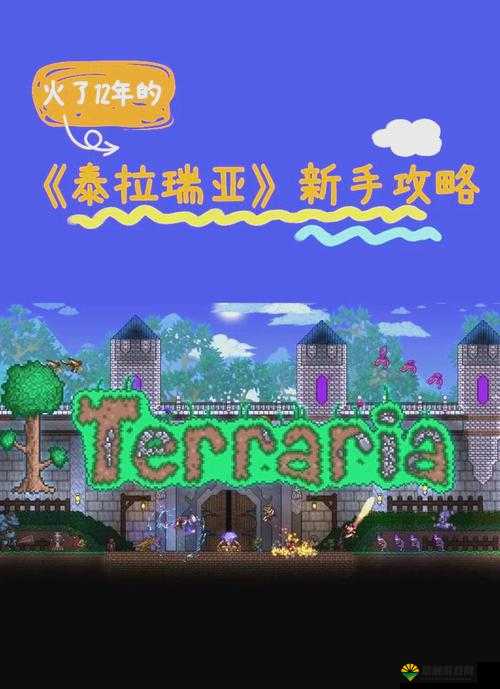 泰拉瑞亚海盗船员探索指南，属性、掉落与资源管理