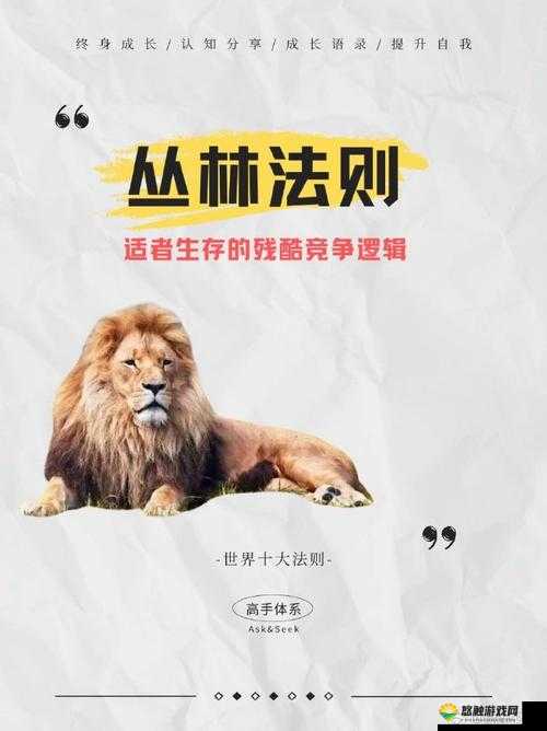 丛林法则，生存的艺术与策略
