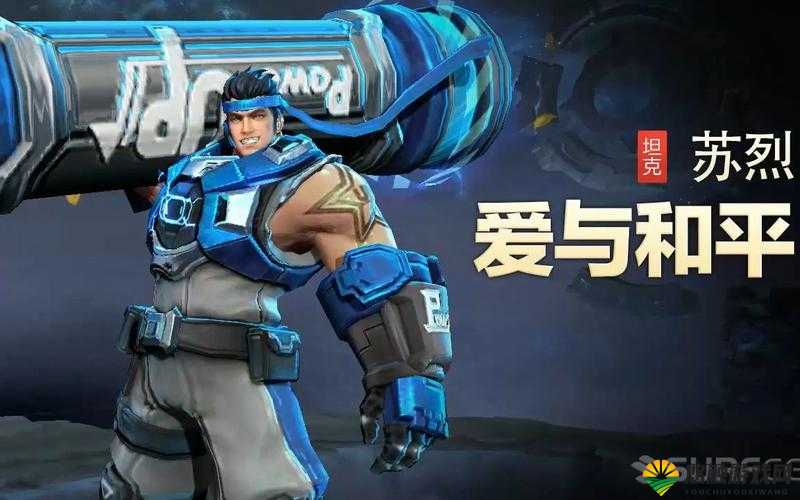 王者荣耀苏烈皮肤鉴赏，爱与和平的勇者风采