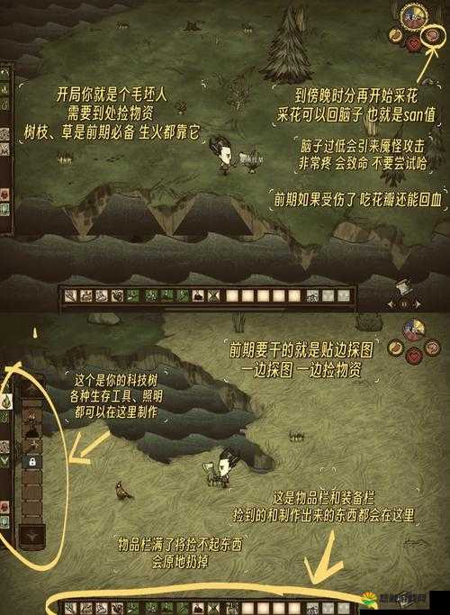 饥荒海盗帽攻略,从新手到精通的全面解析