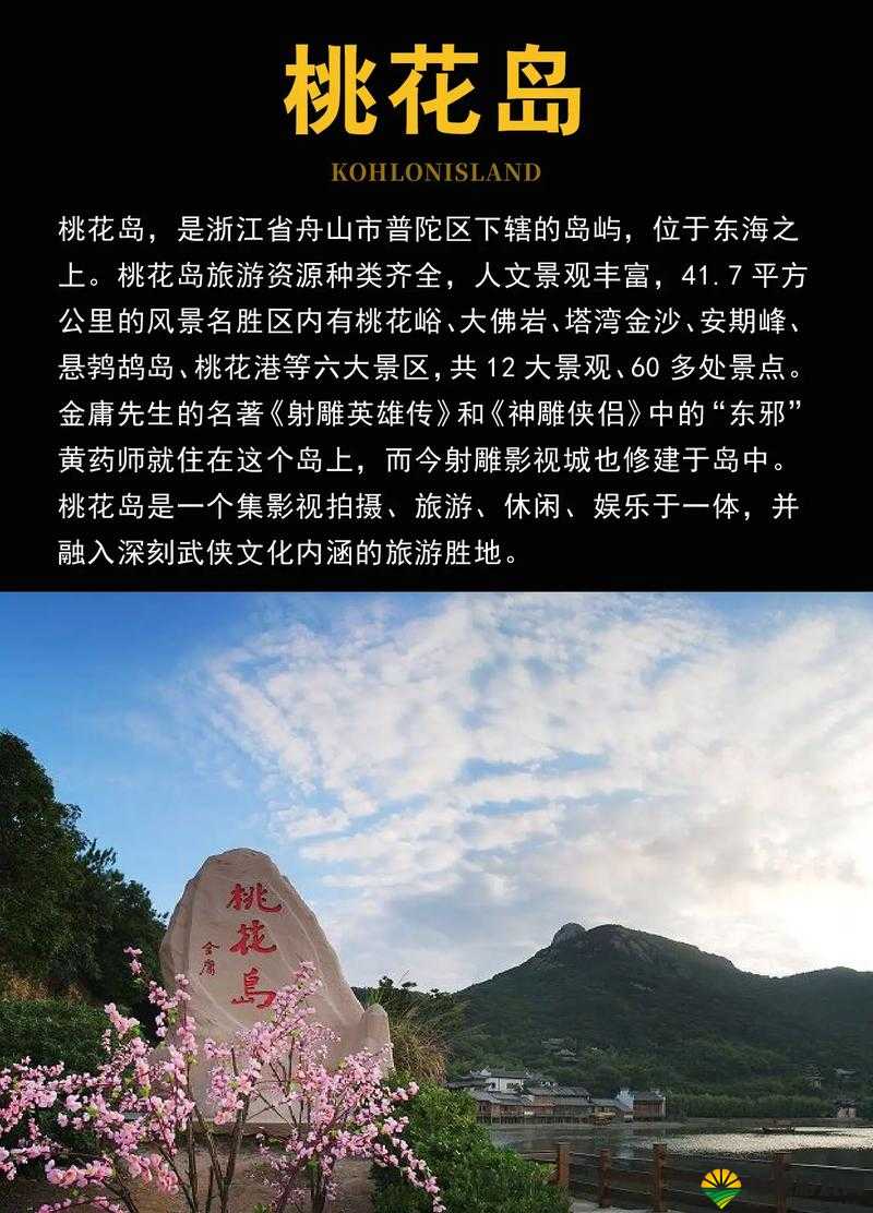 桃花岛 CM7 是什么?带你深入了解桃花岛 CM7 的独特魅力与价值